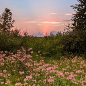 Tryna Find A Way To Escape My Mind (feat. FøRD & Greenwood)