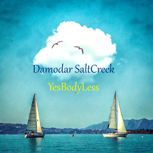 Damodar SaltCreek