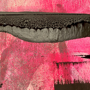 Skunk Dog (Softlock remix)