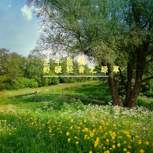 风吹散的故事 (治愈钢琴曲)