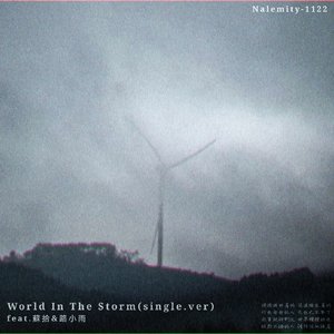 World In The Storm(single.ver)(feat.蘇拾&路小雨)