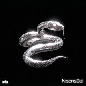 NeonsBai