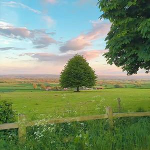 AI时代 (DJ舞曲版)