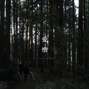 愛憎 (Instrumental)