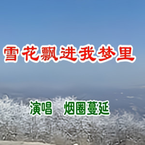 雪花飘进我梦里