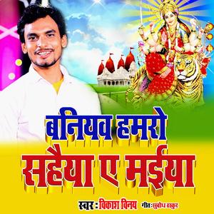 बनियव हमरो सहैया ए मईया