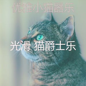有趣小猫情怀