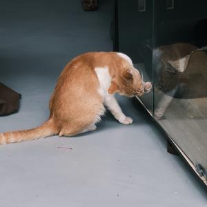 永不消逝的电波(Cover双人舞 钢琴版)