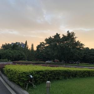 Dream(prod.by.red killer)