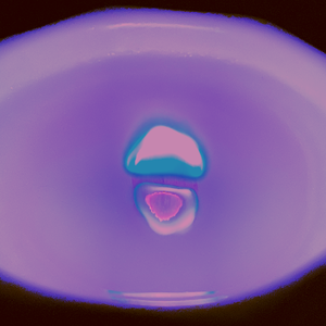 Fragrant Sacrifice 香夭