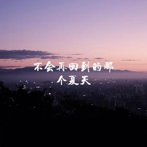 不会再回到那个夏天
