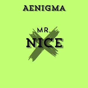Mr. Nice
