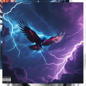 CELESTIAL BLACK THUNDER PHOENIX