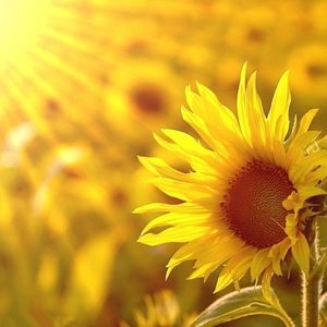 The First Time I Saw You