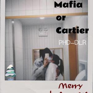 Nafia or Cartier(Remix.那奇沃夫）