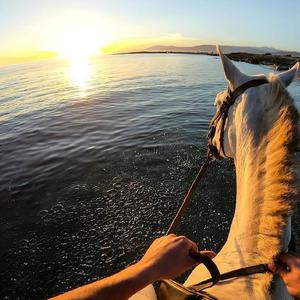 KYM-Kattaylak（阿卜杜凯尤木·奥布力喀斯木 remix）