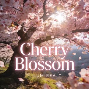 Cherry Blossom