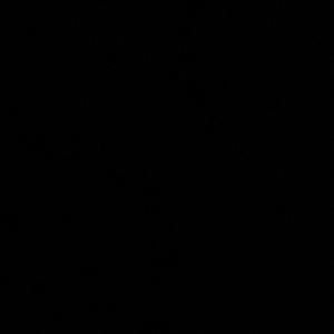 如果每个明天你都在