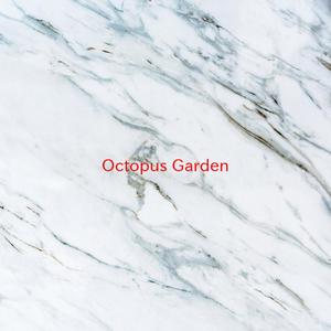 Octopus' Garden (Instrumental version originally performed by The Beatles)