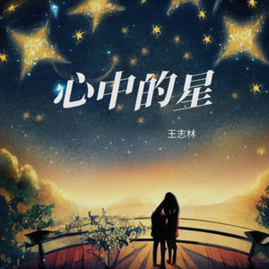 心中的星