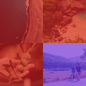 柔和的餐厅时刻