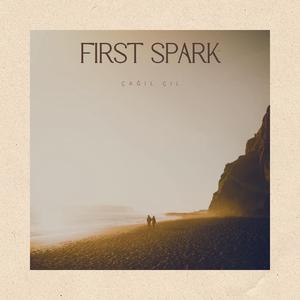 First Spark