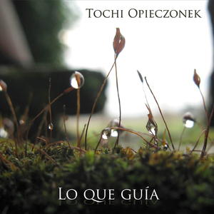 Palosanto, canela y miel