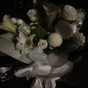 Let's Fall In Love For The Night