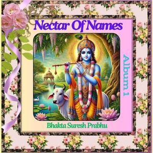 Hare Krishna Om Thrivikramaaya Namaha