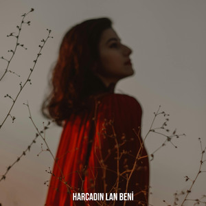 Harcadın Lan Beni