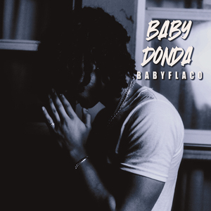 Baby Donda