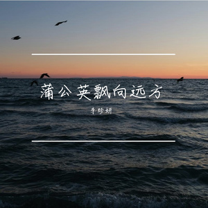 蒲公英飘向远方