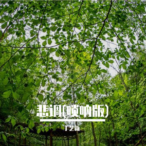 唢呐哀调(唢呐版)