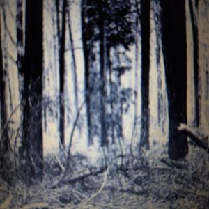 Cosmic Birth // Contact