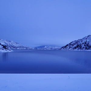 Blue & Grey