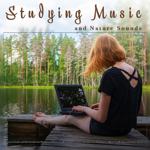 Focus and Concentration