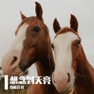 想念到天亮_48kHz_24bit