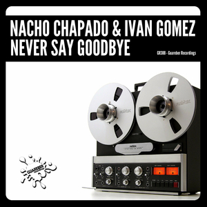 Never Say Goodbye (Original Mix)