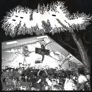 Psychedelic Overdose