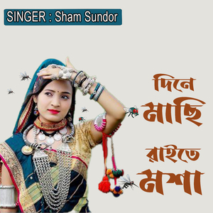 দিনে মাছি রাইতে মশা