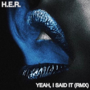 Yeah I said it (remix)