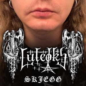 Skjegg