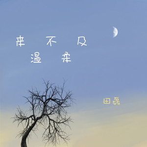 来不及温柔