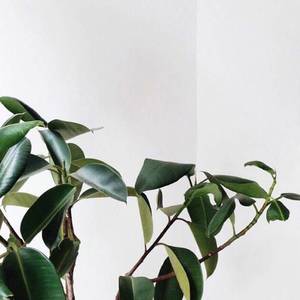 逆流（翻自 雨锟）