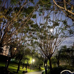 漠河舞厅