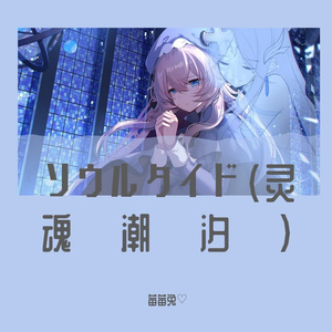 ソウルタイド（灵魂潮汐）