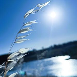 Khushkismati - खुश्किस्मती (Revisited)