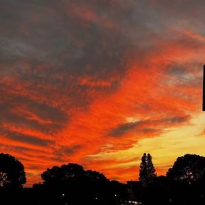 花开半夏的思念