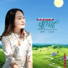 想家的时候望月亮 (DJ伟然版)