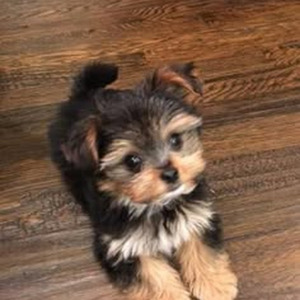 3 Amigos III (sped up)